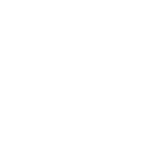 SNKjewelry